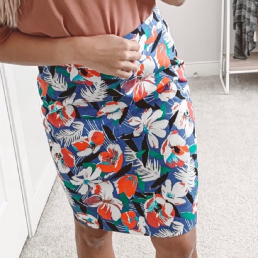 Jcrew skirt